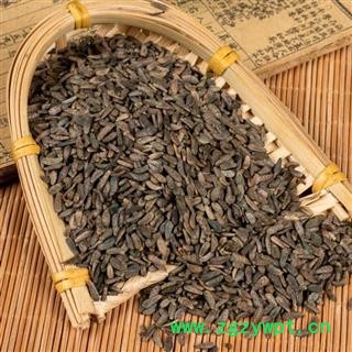 牛蒡子 秦岭野生 山民自捋 日晒无硫1000g【打折已结束】图3