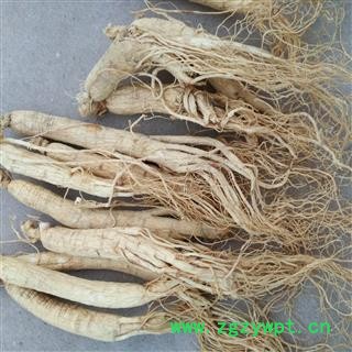人参 生晒参45支 5年生低残人参 250克/袋  清仓特价 产地 吉林省图2