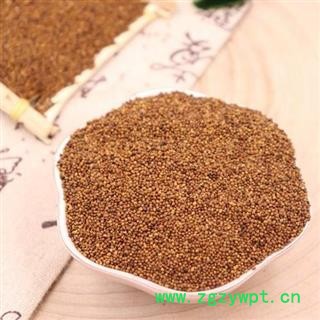 【新货】秦岭优质菟丝子 山民自捋 日晒无硫500g图3