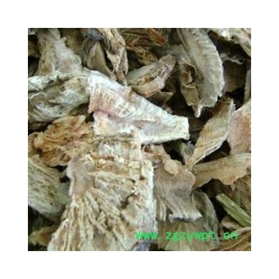 仙人掌 统货 产地 内蒙古自治区