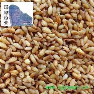 柏子仁 正品地道 精选货  国峰药业 重在品质 产地 山东省图2