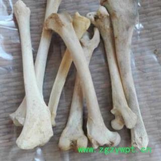 狗骨 正品狗骨头 产地 安徽省图2