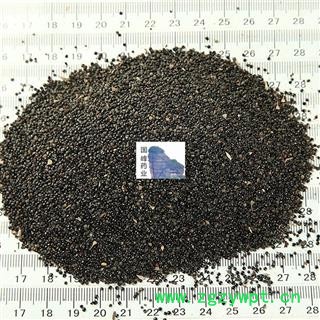 青葙子 青箱子 正品 管化验 无虫蛀 国峰药业 重在品质 产地 山西省图2