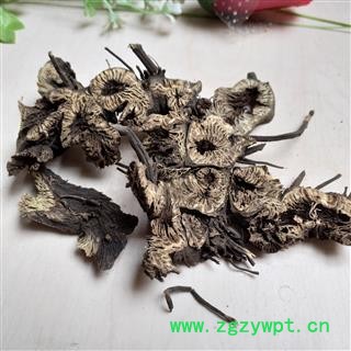 升麻 统货 正宗国产升麻 产地 黑龙江省图2