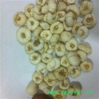 平贝母 贝母 产地 吉林省吉林市市辖区图3