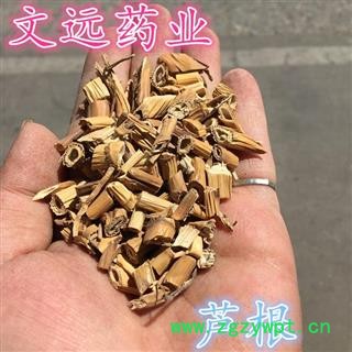 芦根 无硫 产地 河南省图2