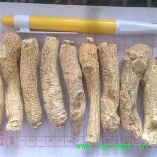 西洋参 西洋参个 10-15克左右 每支 产地 吉林省图2