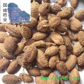 砂仁 好统货 无虫蛀 无硫磺 国峰药业 重在品质 产地 广东省图2
