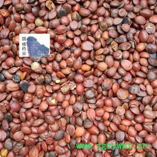 酸枣仁 国产 炒枣仁 全干 正品地道药材 国峰药业 重在品质 产地 山东省图2