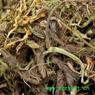 缬草 甘松 水洗 缬草统货 产地 四川省攀枝花市市辖区图3