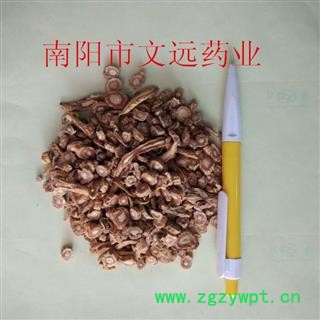 防风 大统  产地 河北省图3