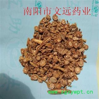 防风 大统  产地 河北省图2