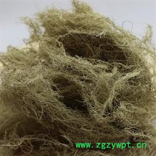 白龙须 云雾草 长松萝,老君须,天蓬草 产地 广西壮族自治区图2