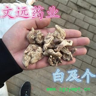 白及 精选大白及 白芨正品三叉白芨 产地 湖北省图2