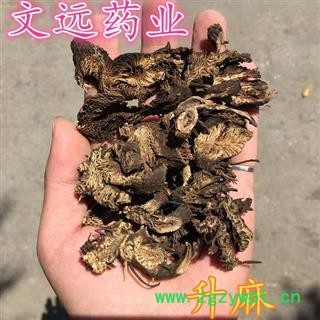 升麻 正品升麻 大片 无加重 产地 四川省图2