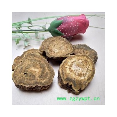 大黄 选货 产地 甘肃省