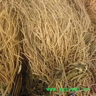 徐长卿 统货 产地 山东省图2