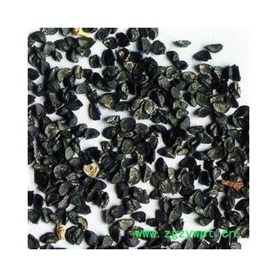 葱子 葱籽 统 产地 山东省烟台市莱山区