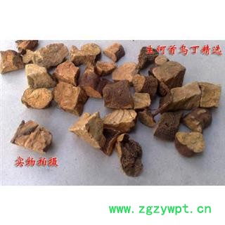 娟子中药批发  何首乌片 丁 统货 产地 云南省大理白族自治州弥渡县图4