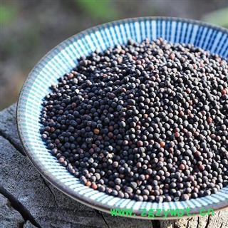 生王不留行 秦岭优质王不留 手工采捋分拣 500g可配通草图4