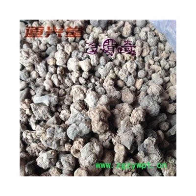 夏天无 夏天无统货 产地 云南省 批发经营各种冷背中草药个子