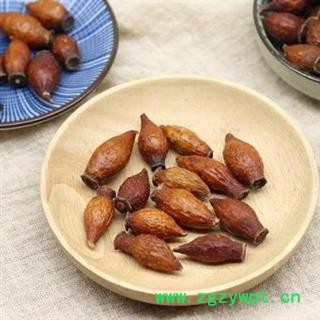 金樱子 秦岭野生金英子 刺梨子 手工采摘 挑选 日晒无硫500g图3