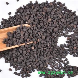 秦岭优质牵牛子 黑丑 喇叭花籽 山民自捋 日晒1000g图3