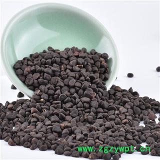 秦岭优质牵牛子 黑丑 喇叭花籽 山民自捋 日晒1000g图2