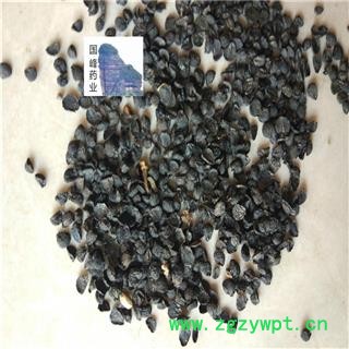 葱籽 葱子 产地 山东省图2