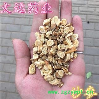 北沙参 大统 产地 河北省图2