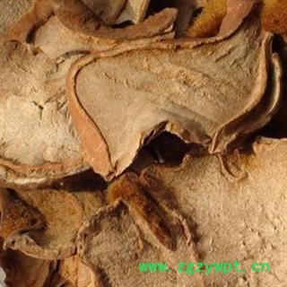 金毛狗脊 统装 狗脊 产地 四川省图3