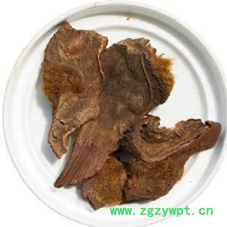 金毛狗脊 统装 狗脊 产地 四川省图2