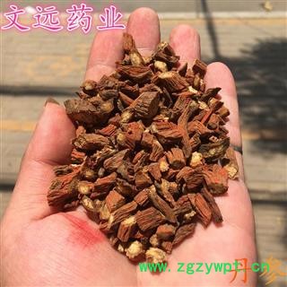 丹参 好统片  段 产地 河南省南阳市方城县图2