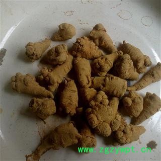 三七 三七120头 产地 云南省文山壮族苗族自治州文山县图2