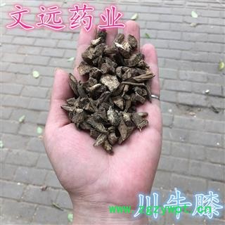 川牛膝 统装 牛膝 产地 四川省成都市市辖区图3