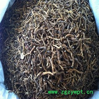 九节菖蒲 正品野生节菖蒲 产地 山西省晋城市市辖区图2