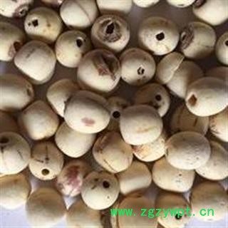 精选大莲子 抽芯率百分之百 滋补极品 新货上市 降价出售图2