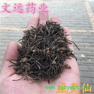 威灵仙 水洗 统装  全根 少芦头 产地 湖北省图2