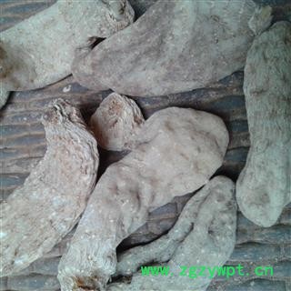 天麻 特级天麻 无硫磺  产地 安徽省六安市霍邱县图4