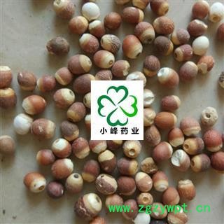 芡实大选个 新货 颜色好 无虫蛀 产地 广东省图2