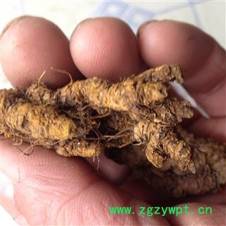 黄连 鸡爪黄连上等统货 产地 四川省图2