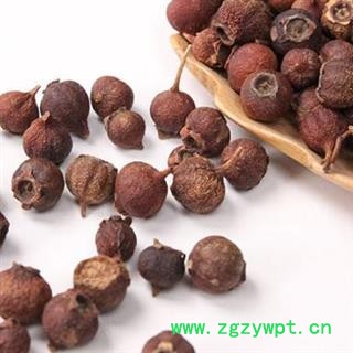 秦岭南山楂  药山楂 山楂豆 乡亲自摘 日晒干净500g（买10送1完）图3