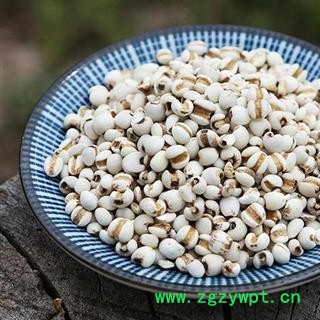 小薏米仁 秦岭特级 薏苡 薏仁手工分拣日晒500g 另有炒薏仁图2