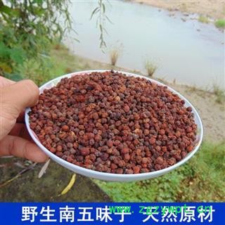 【新货】 秦岭优质南五味子自采日晒 天然家用入药首选500g图2