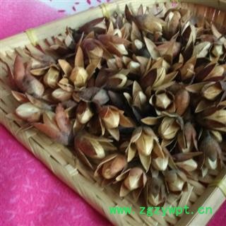 【新货】香椿子 秦岭椿树子 新货无硫自采日晒原生态香菱子500g图3