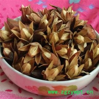 【新货】香椿子 秦岭椿树子 新货无硫自采日晒原生态香菱子500g图2