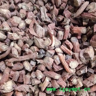 丹参 二条切段 产地 山西省图3