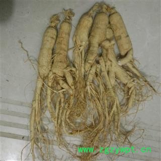 人参 13克/支 产地 吉林省图2