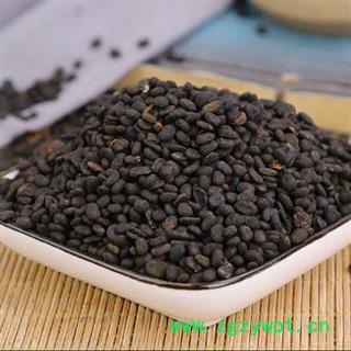 【新货】秦岭野生补骨脂 老乡自捋手工分拣日晒无硫1000g图2