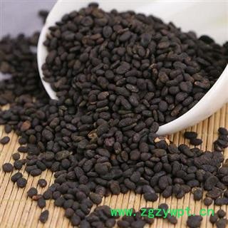 【新货】秦岭野生补骨脂 老乡自捋手工分拣日晒无硫1000g图3